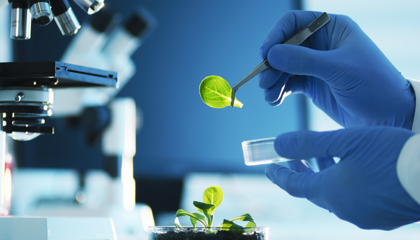 Lifescience