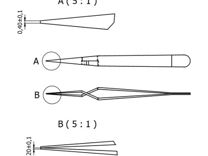 OR-SA_1 OR-SA_1